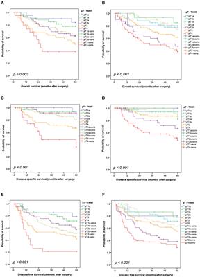 Comparison of the 7th and 8th Edition of the UICC/AJCC TNM Staging System in Primary Resected Squamous Cell Carcinomas of the Lung—A Single Center Analysis of 354 Cases